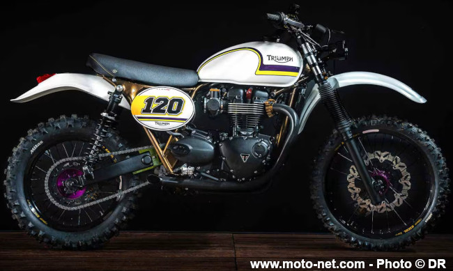 1500 euros de lot… et 1001 idées à piquer au Triumph Custom Contest 2025