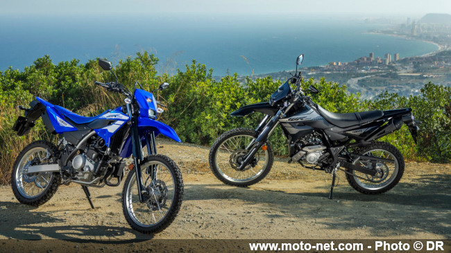 La WR125R devient la moins chère des motos Yamaha ! La WR125R devient la moins chère des motos Yamaha !