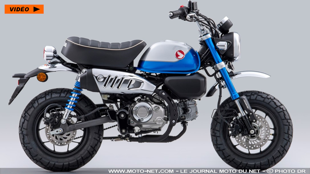 Honda Monkey 2022 : en bleu et qualifié pour l’Euro 5 !